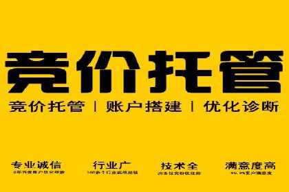 竞价广告投放技巧与案例分析